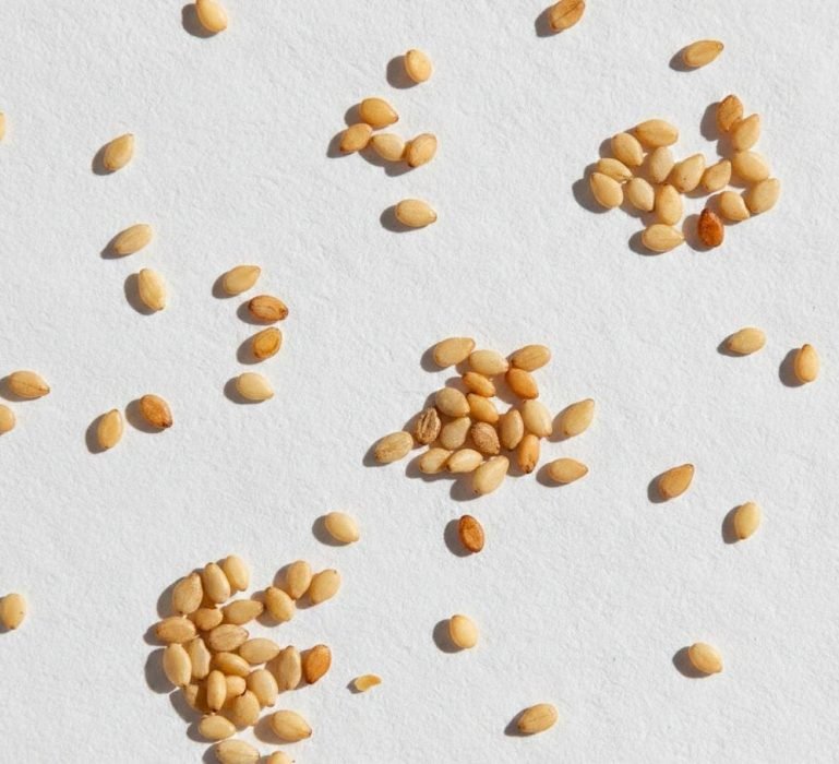 WhatsApp Image 2026-02-16 at 00.28.35